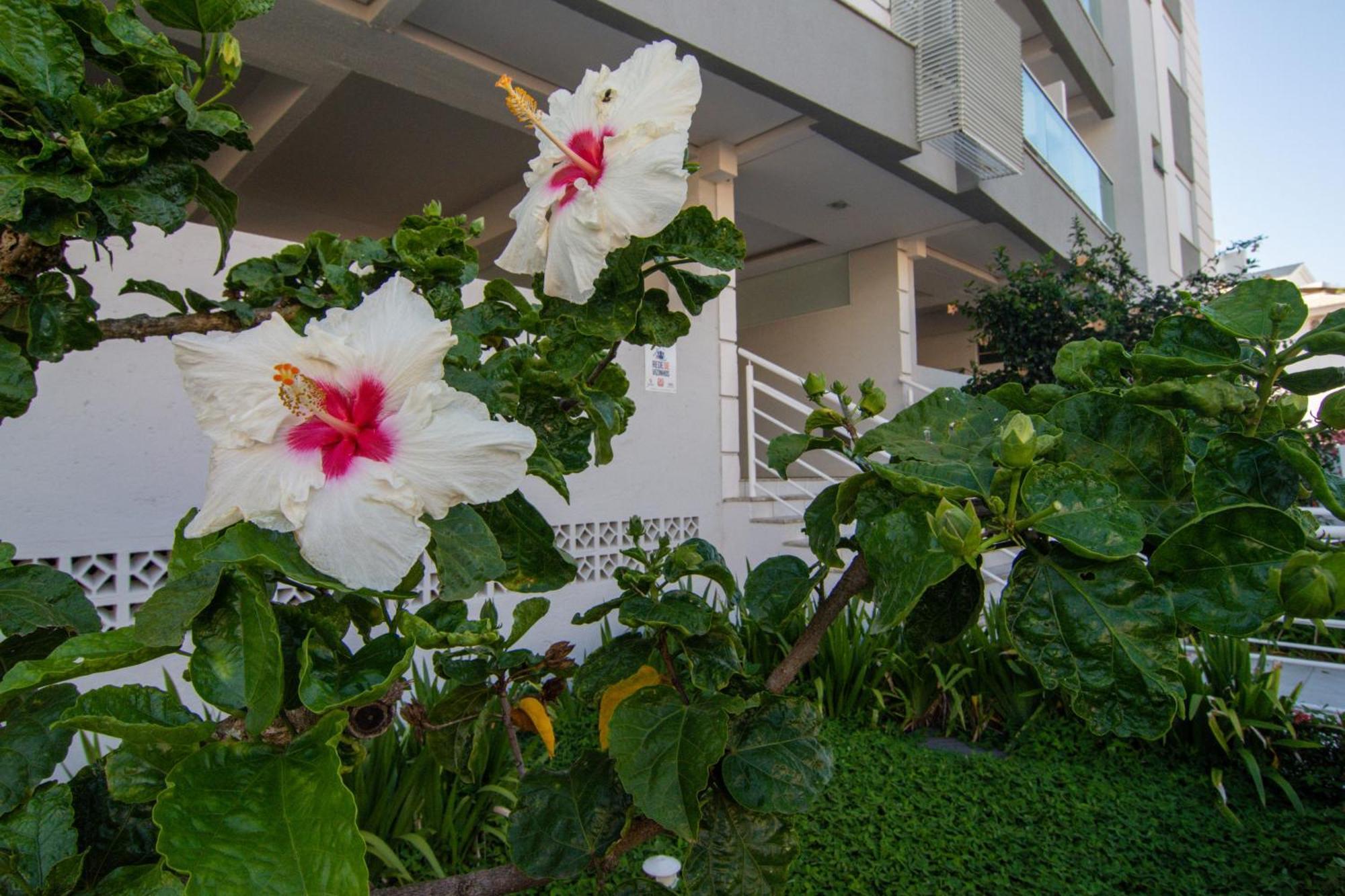 Localização perfeita no Novo Campeche, Apto para 4 hóspedes P473 Florianópolis Exterior foto